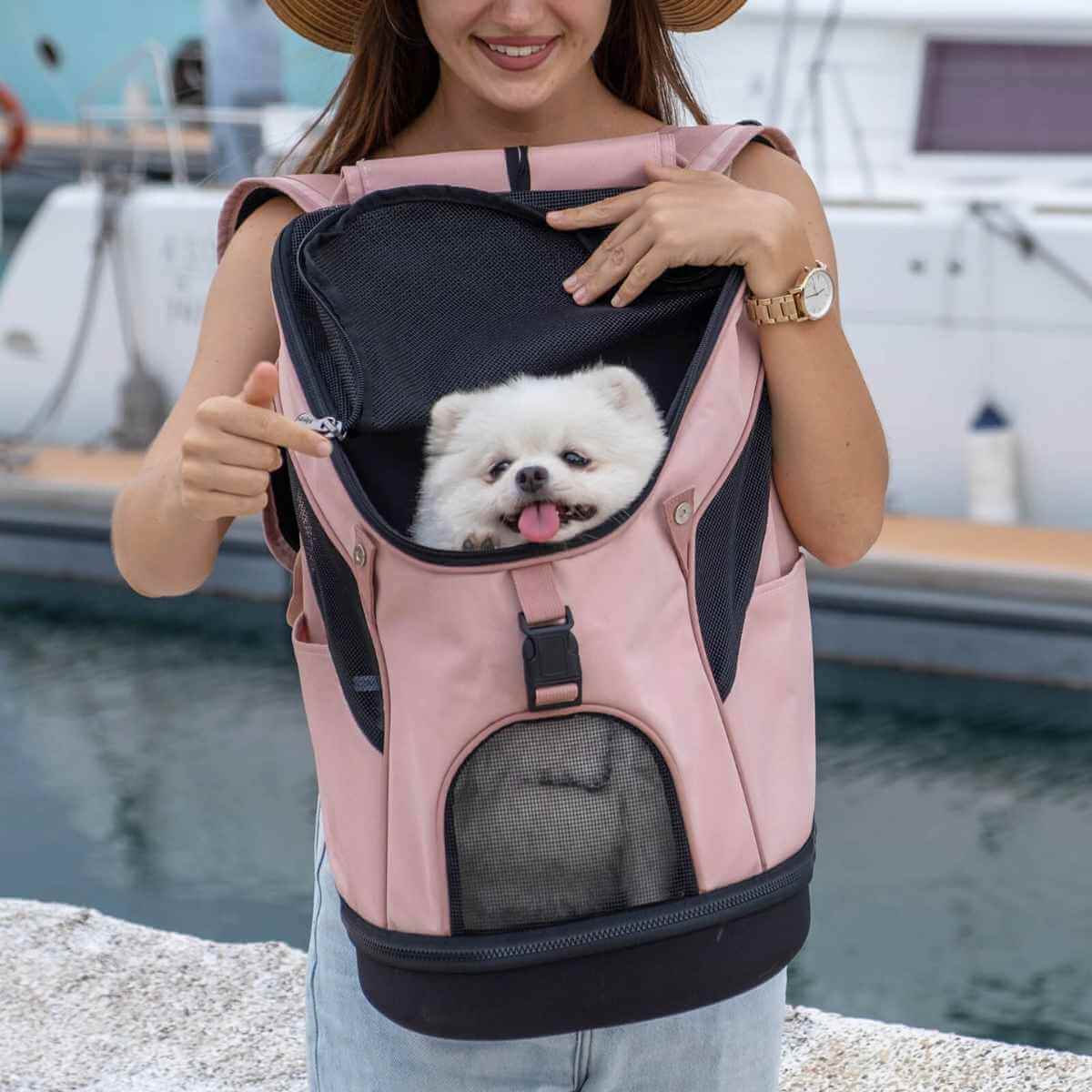 A woman modeling the Coral Pink Ibiyaya pet carrier as a front-facing backpack with a small white dog inside.