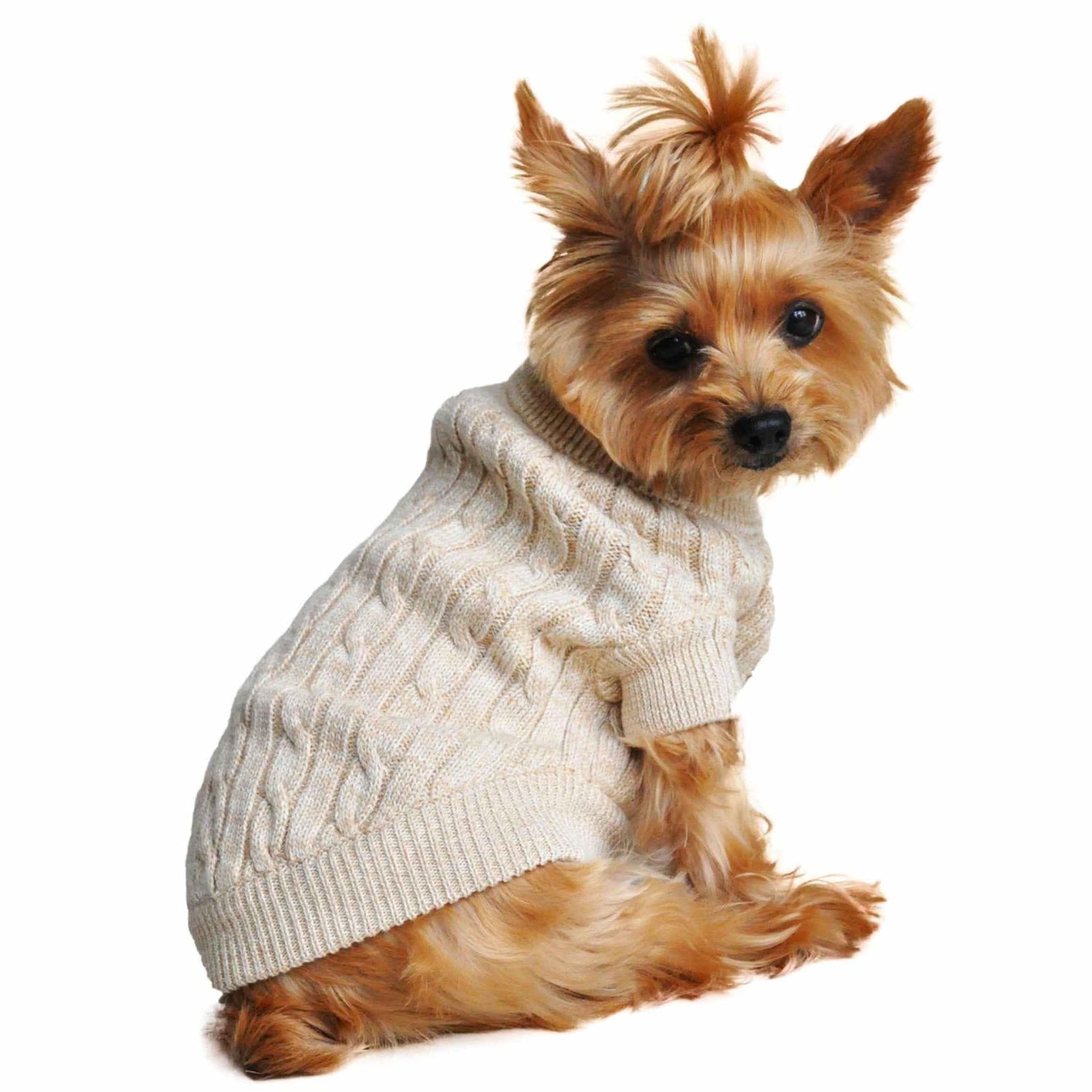 Cable_Knit_Dog_Sweater_-_Oatmeal_on_a_Yorkie_1