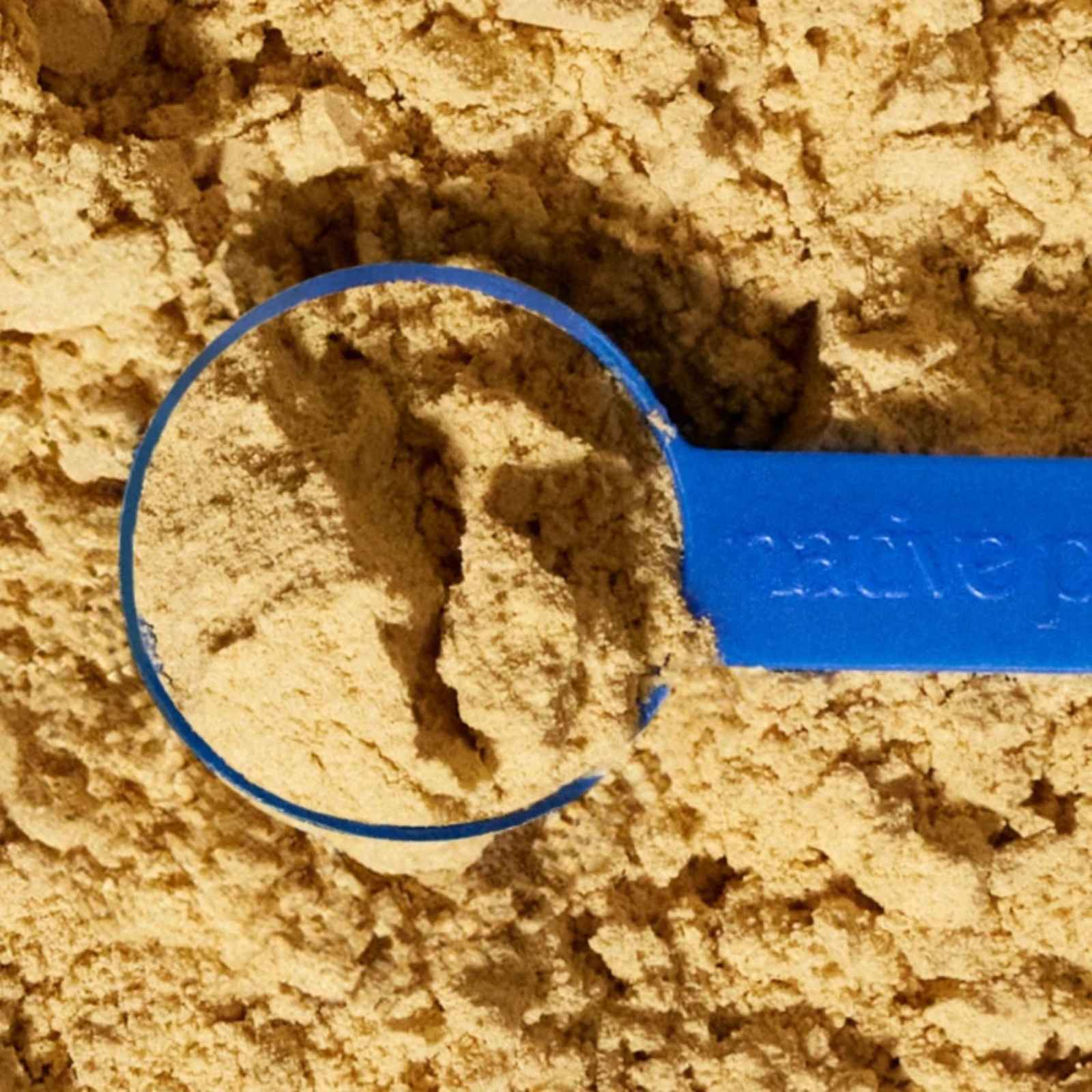 Close-up of a scoop of Native Pet Probiotic powder for dogs