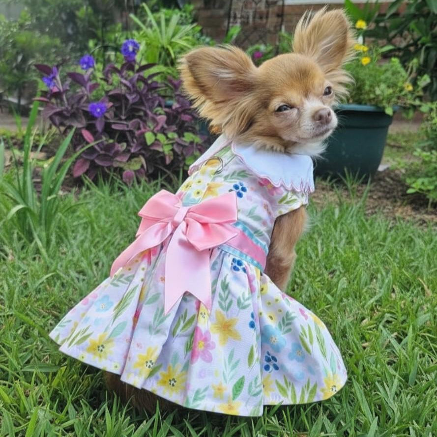 Small dog wearing a Pastel Meadow watercolor floral dog dress with a large pink bow.
