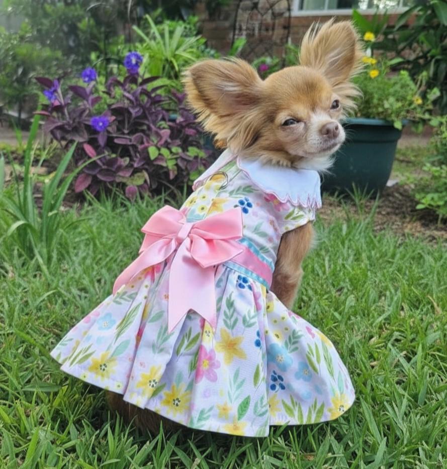A Chihuahua wearing a floral dress with a large pink bow in a garden setting