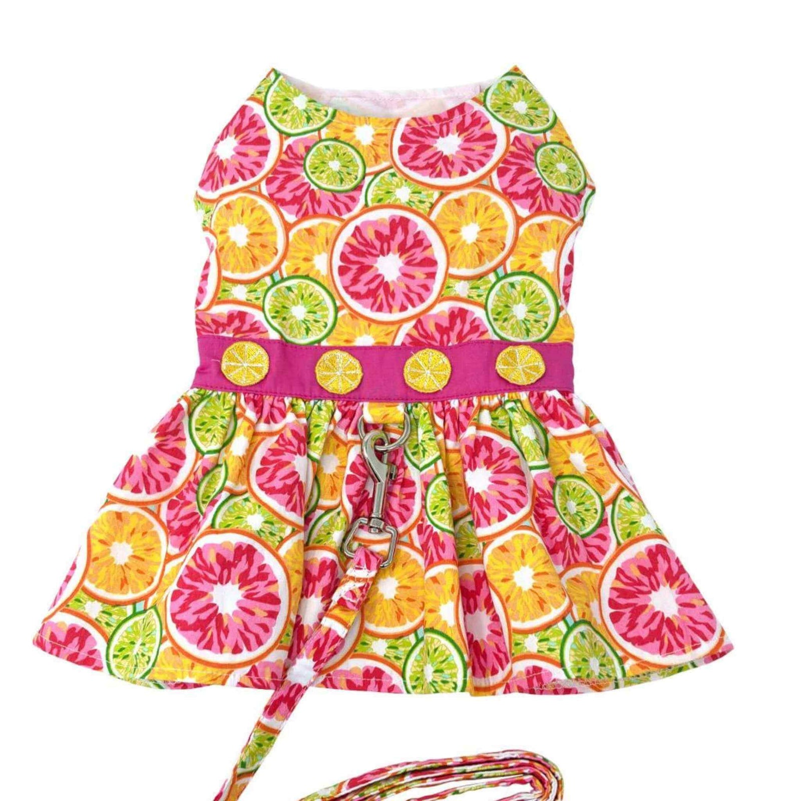 Citrus Slice Dog Dress with Matching Leash