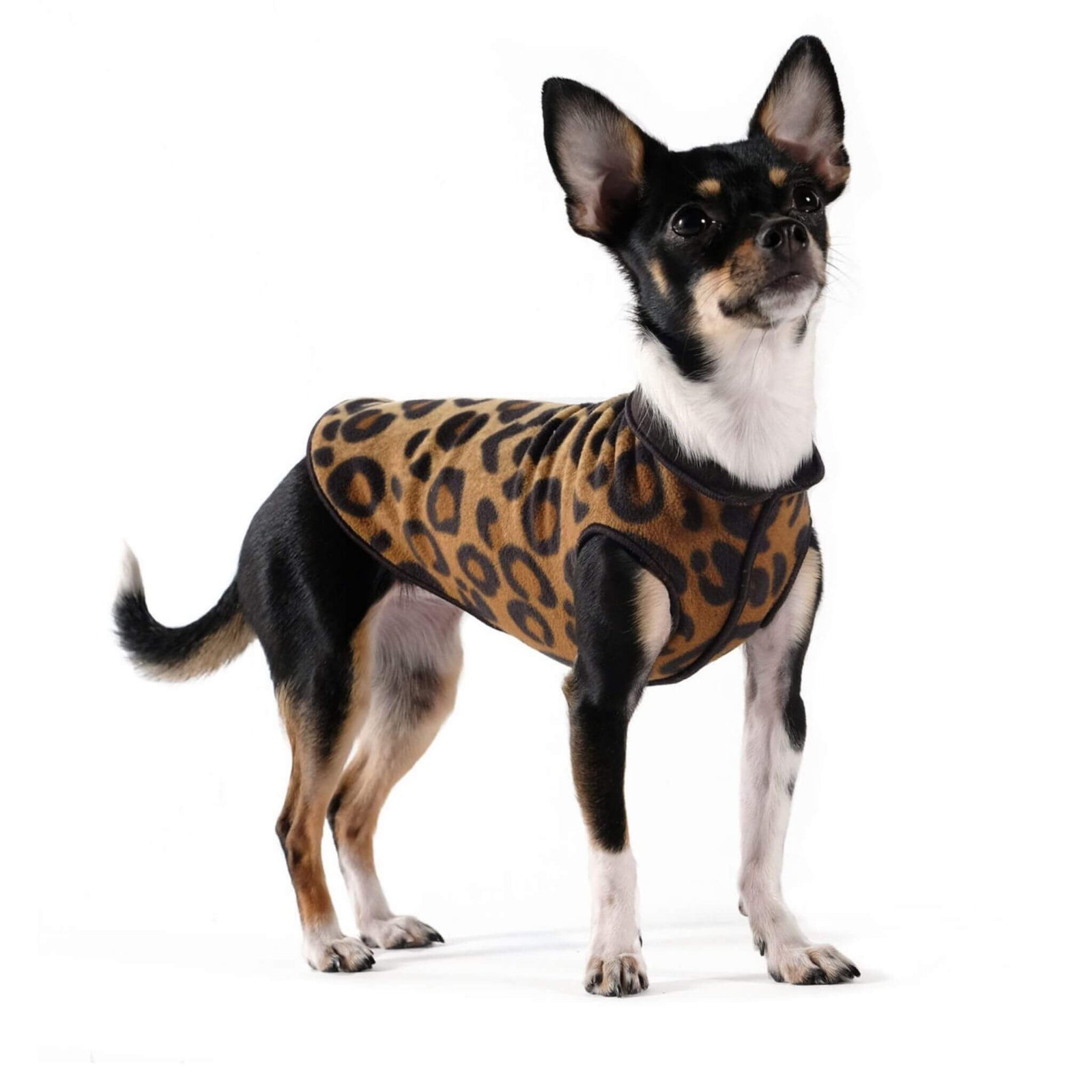 Gold Paw Series Duluth Double Fleece for Dogs - Leopard