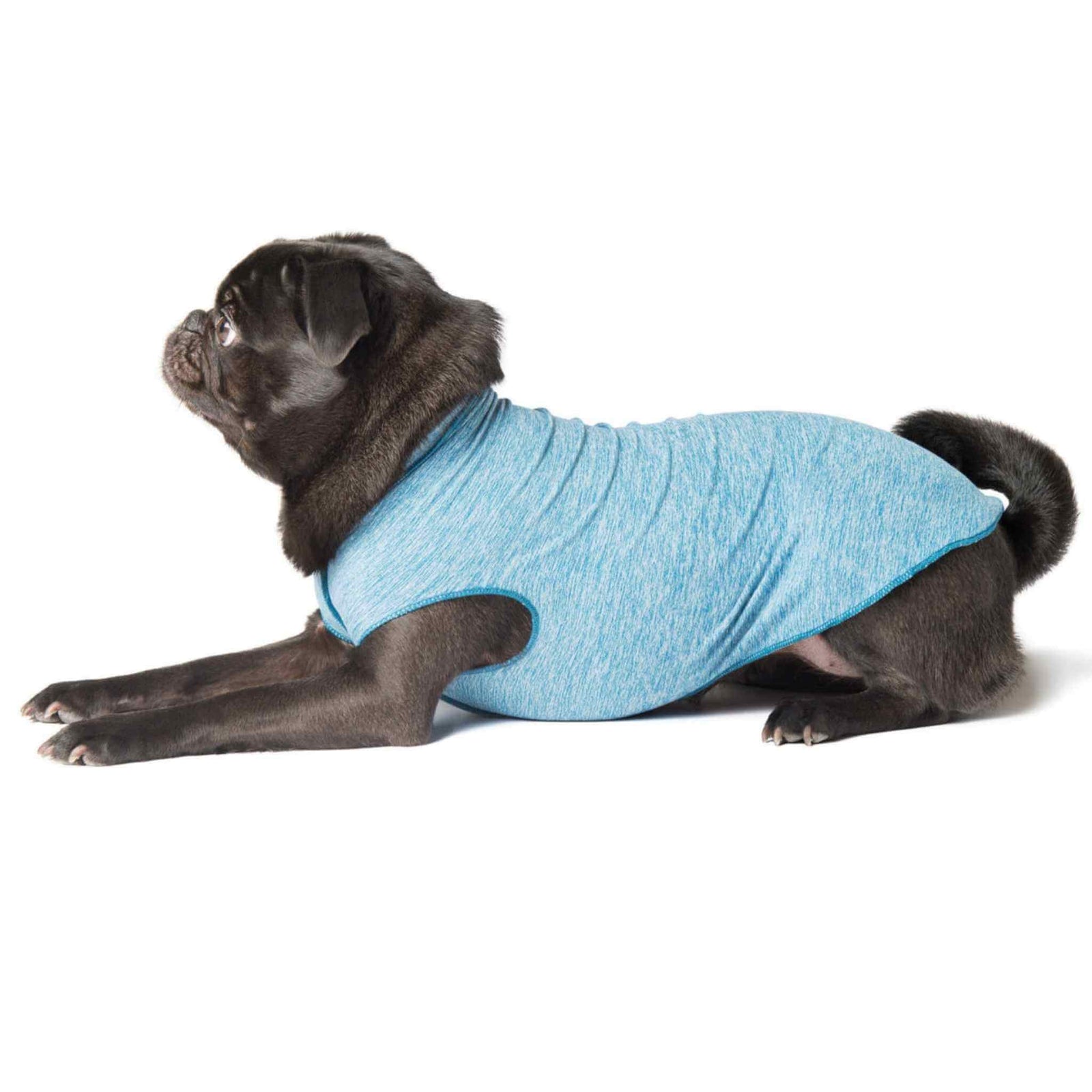 Gold Paw Series Dog Sun Shirt - Ocean on a Pug