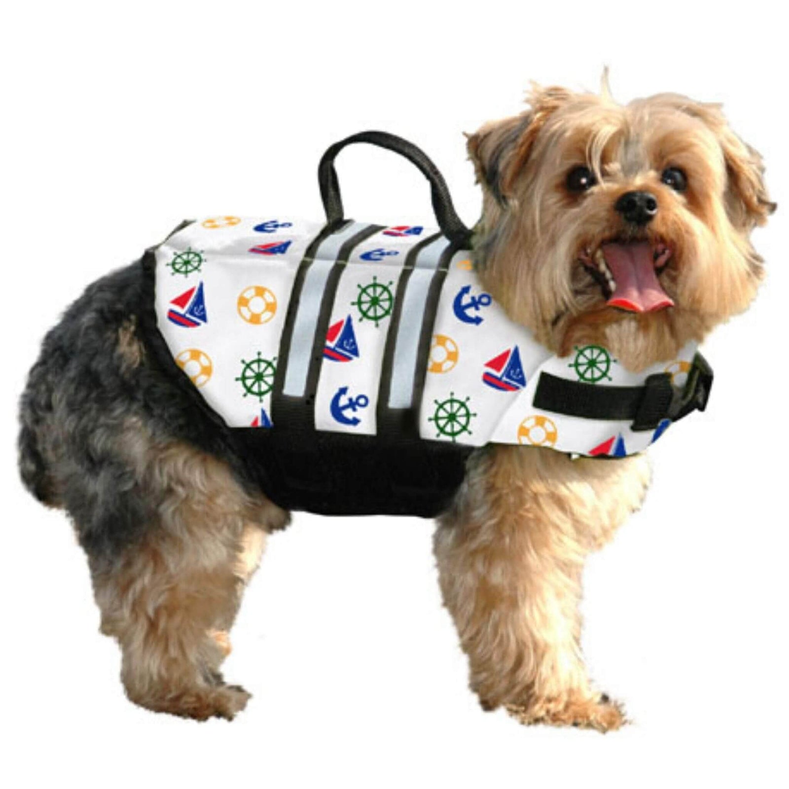 Paws Aboard Dog Life Jacket for small dogs - Nautical Theme on a Yorkie mix