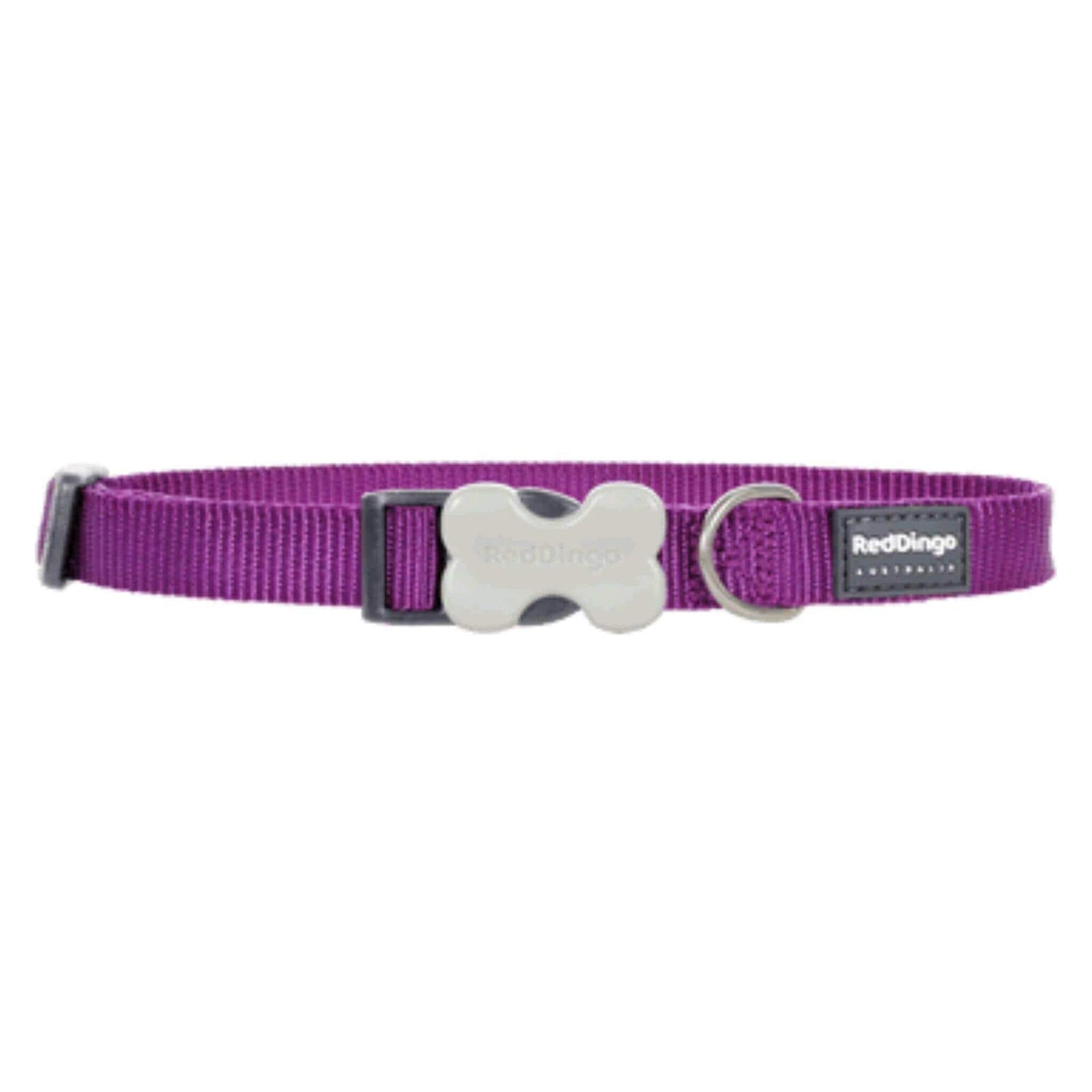 Red Dingo Small Dog Collar - Purple