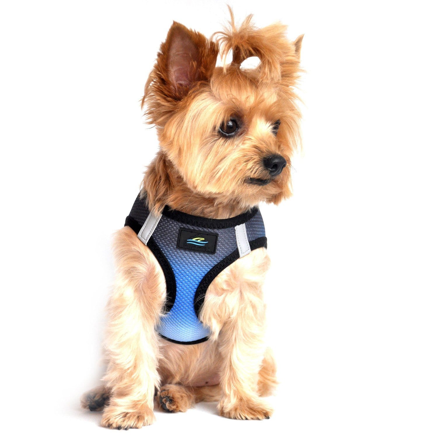 Step-in dog harness - Midnight Sky