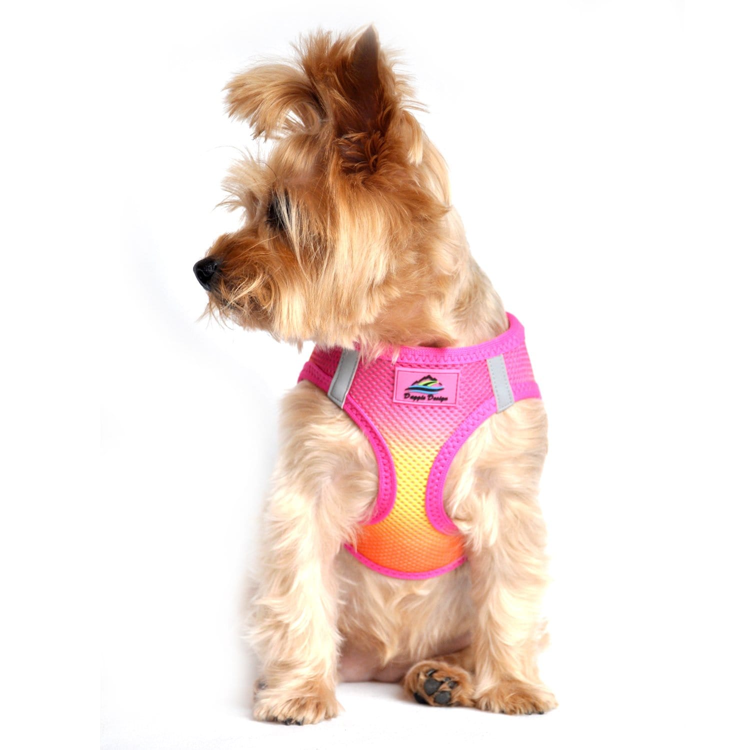 American River Ombre Step-in Dog Harness