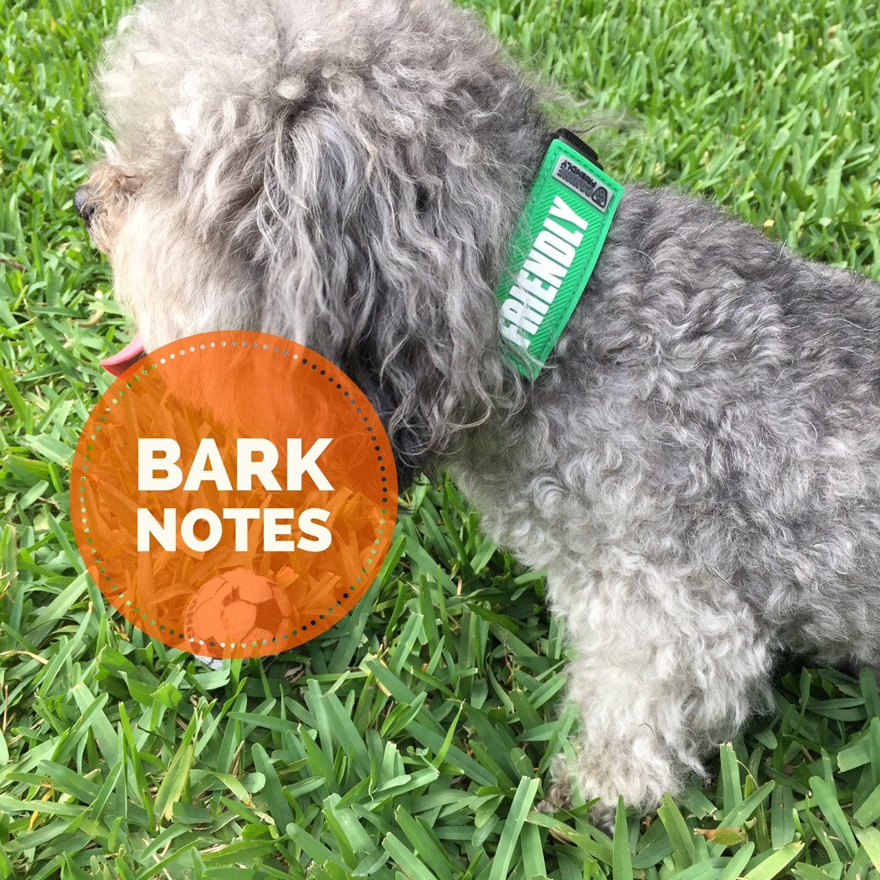 Bark Notes - Collar Accessories That Speak For Your Dog.