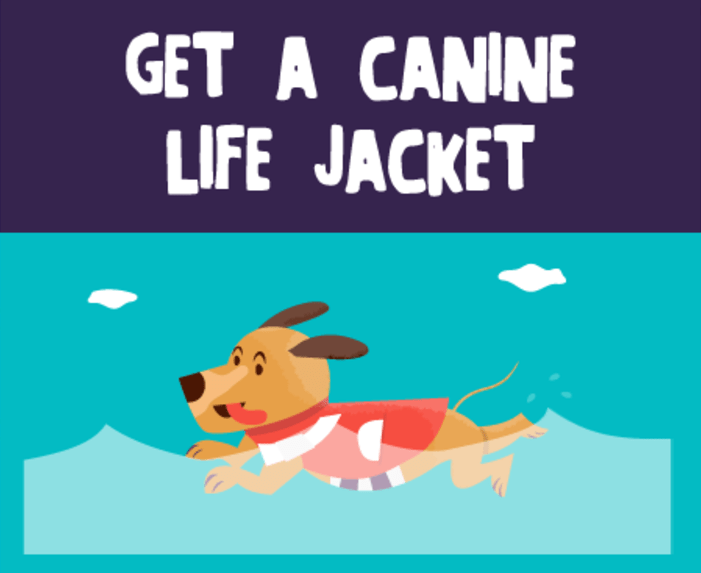 Ahoy! Eight Tips for Safe Boating With Your Dog. [Infographic]