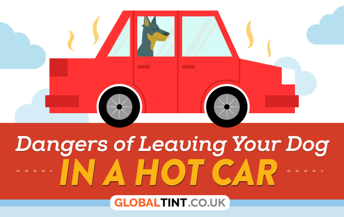 Infographic: Dangers of Leaving Your Small Dog in A Hot Car.