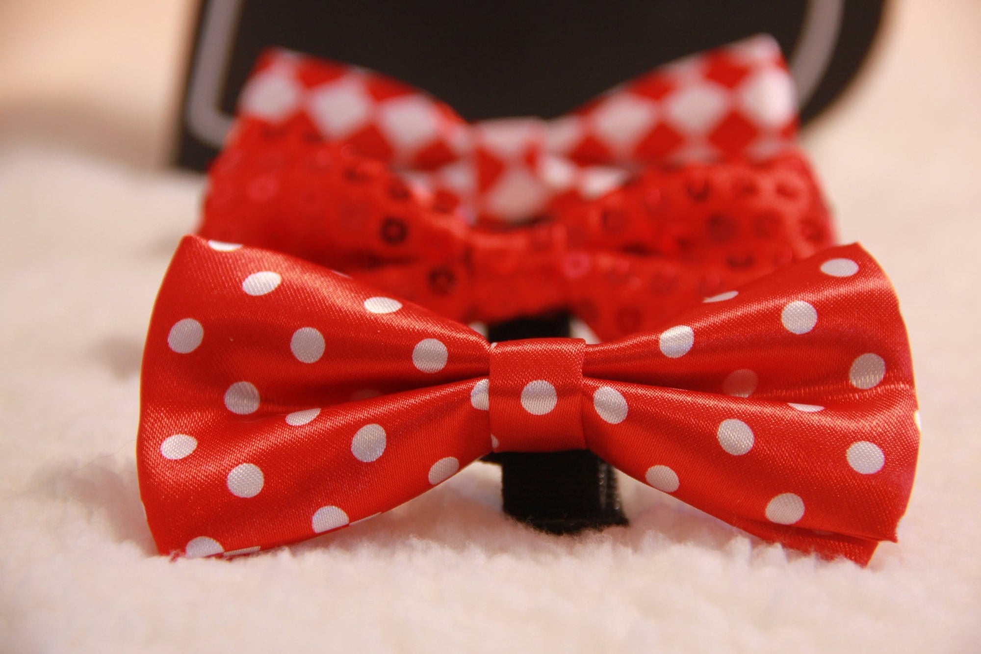 My Furry Valentine - Valentine Gift Ideas for Your Dog.