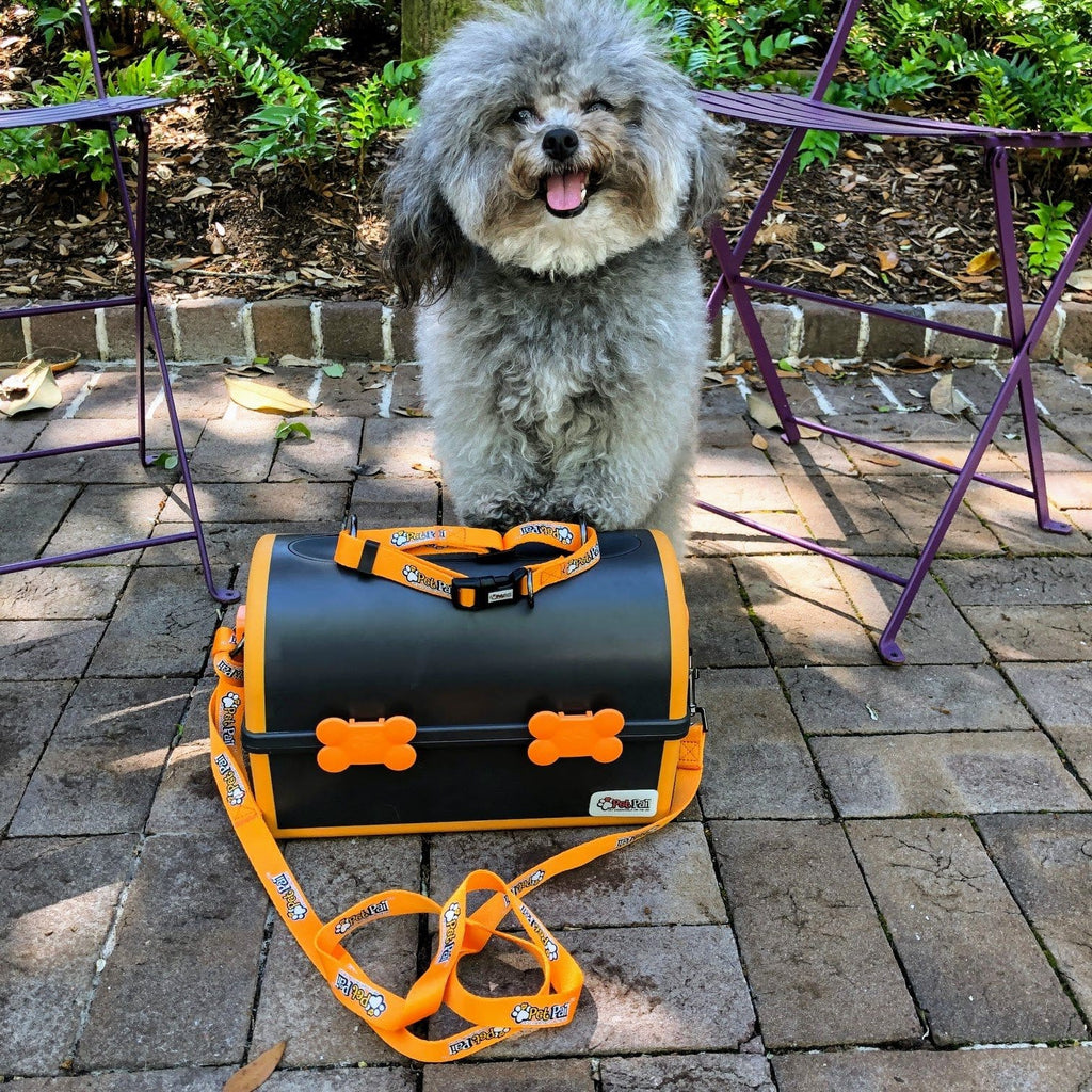 My Pet Pail - The Modern Travel Lunch Box for Dogs On The Go.