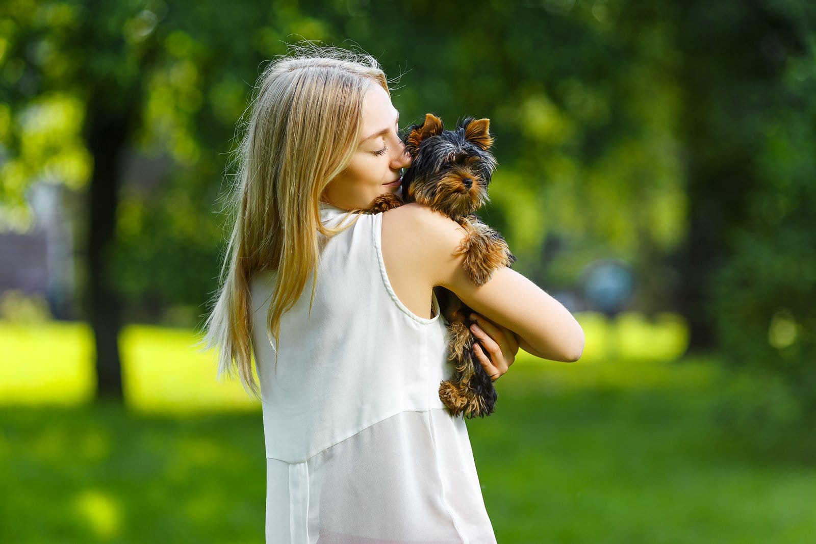 Four paws on the floor. Things you should know about always carrying your small dog.