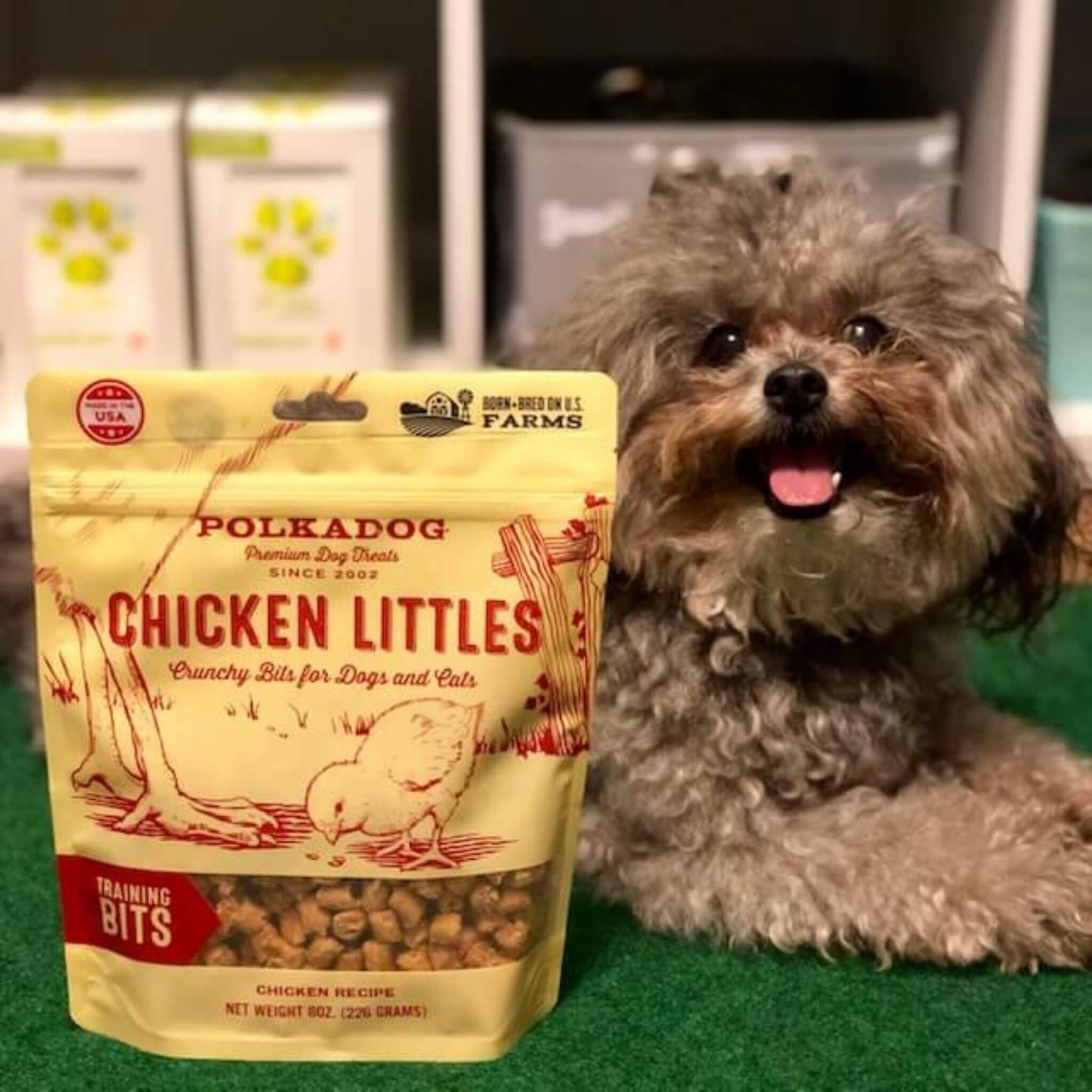All Natural Dog Treats For Small Breed Dogs