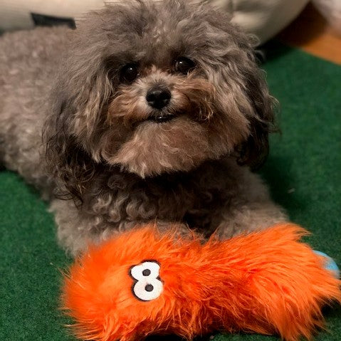 West Paw Dog Toys