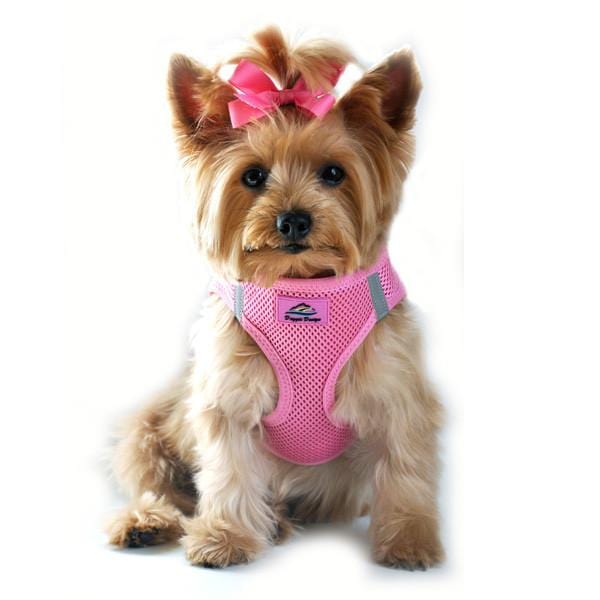 Yorkie Harnesses