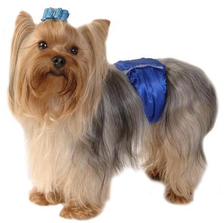 Belly Bands for Male Dogs