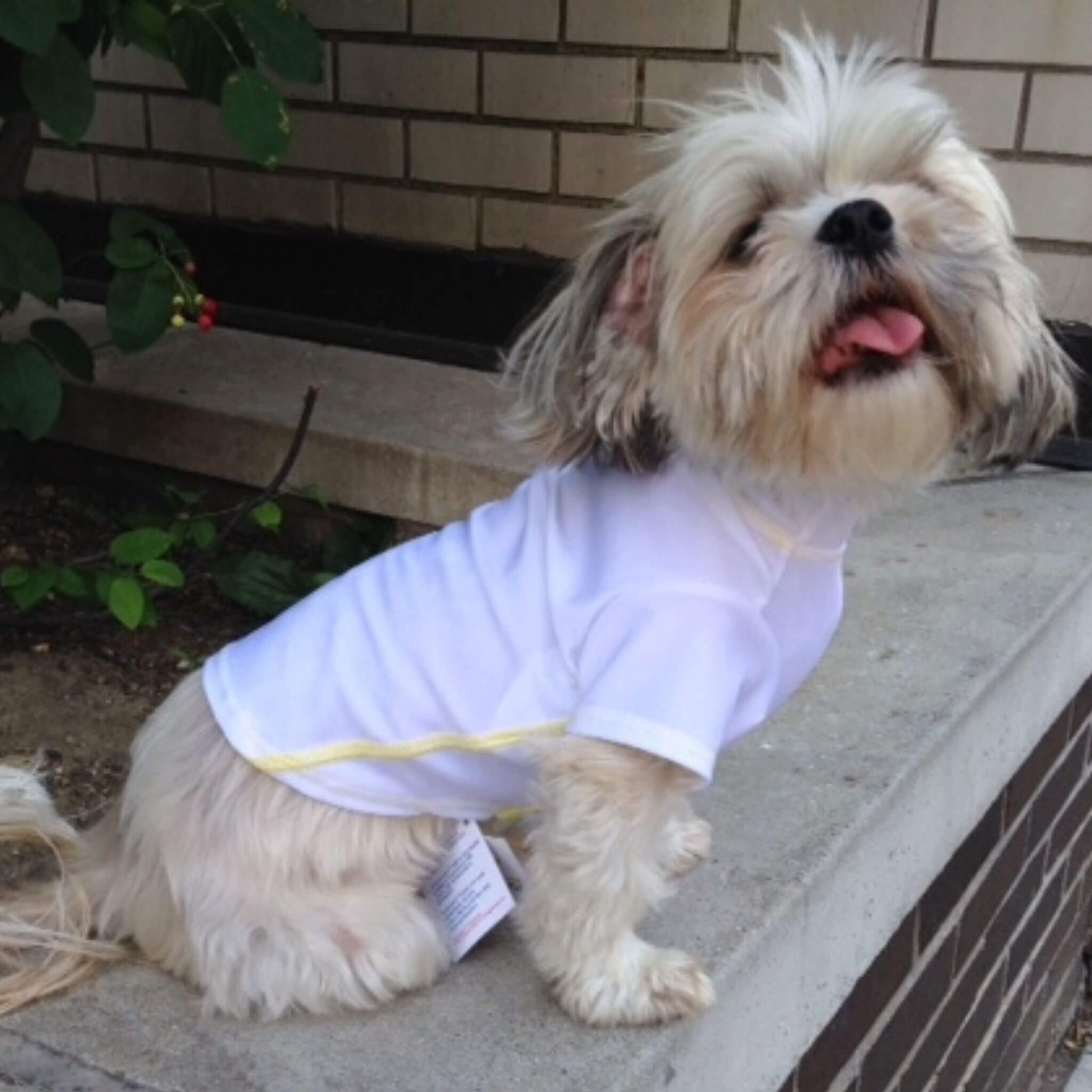 Dog online sun shirt