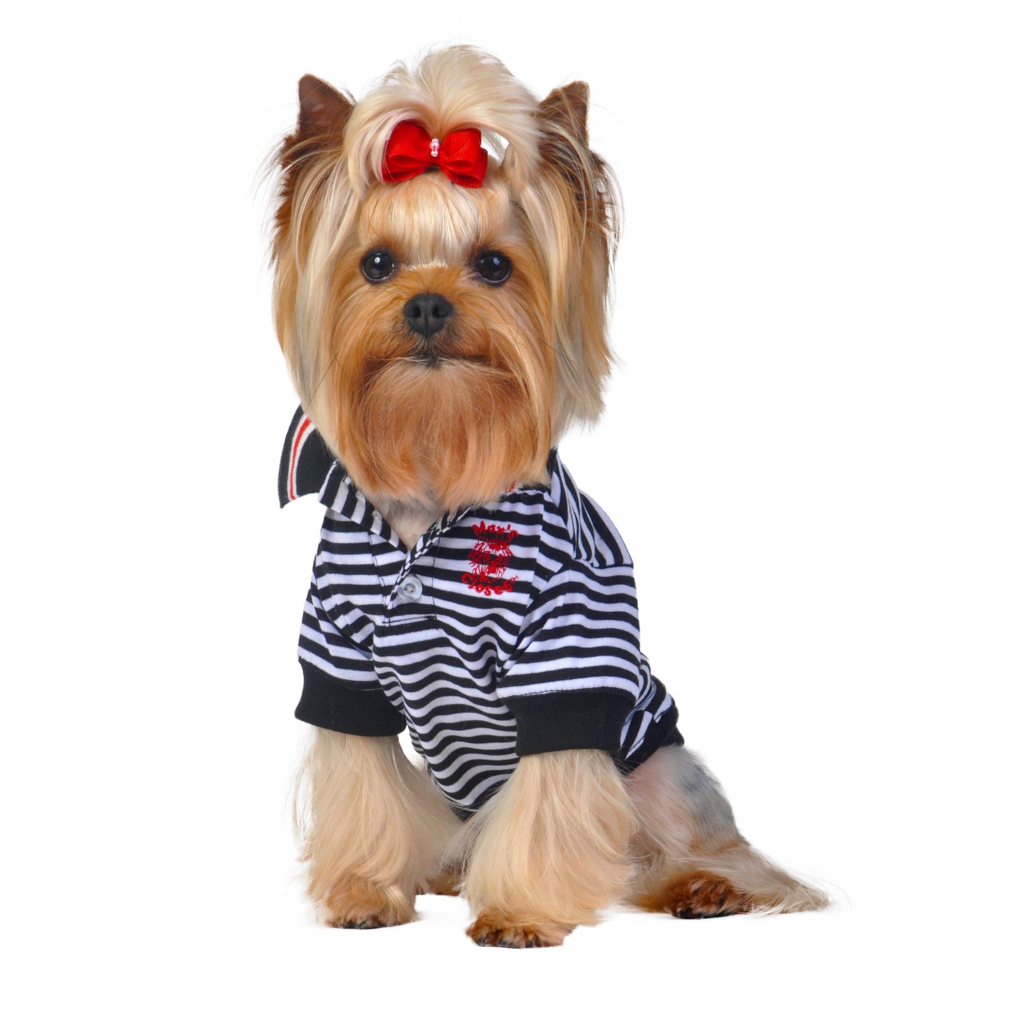 Dog Shirts