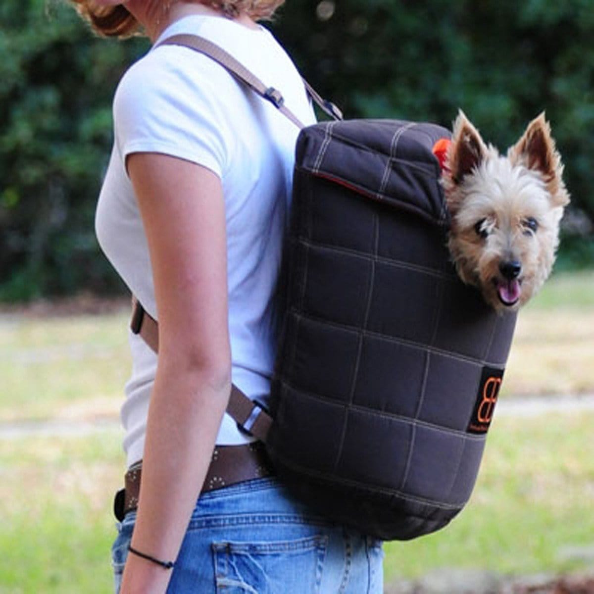 Small Dog Adventure Gear