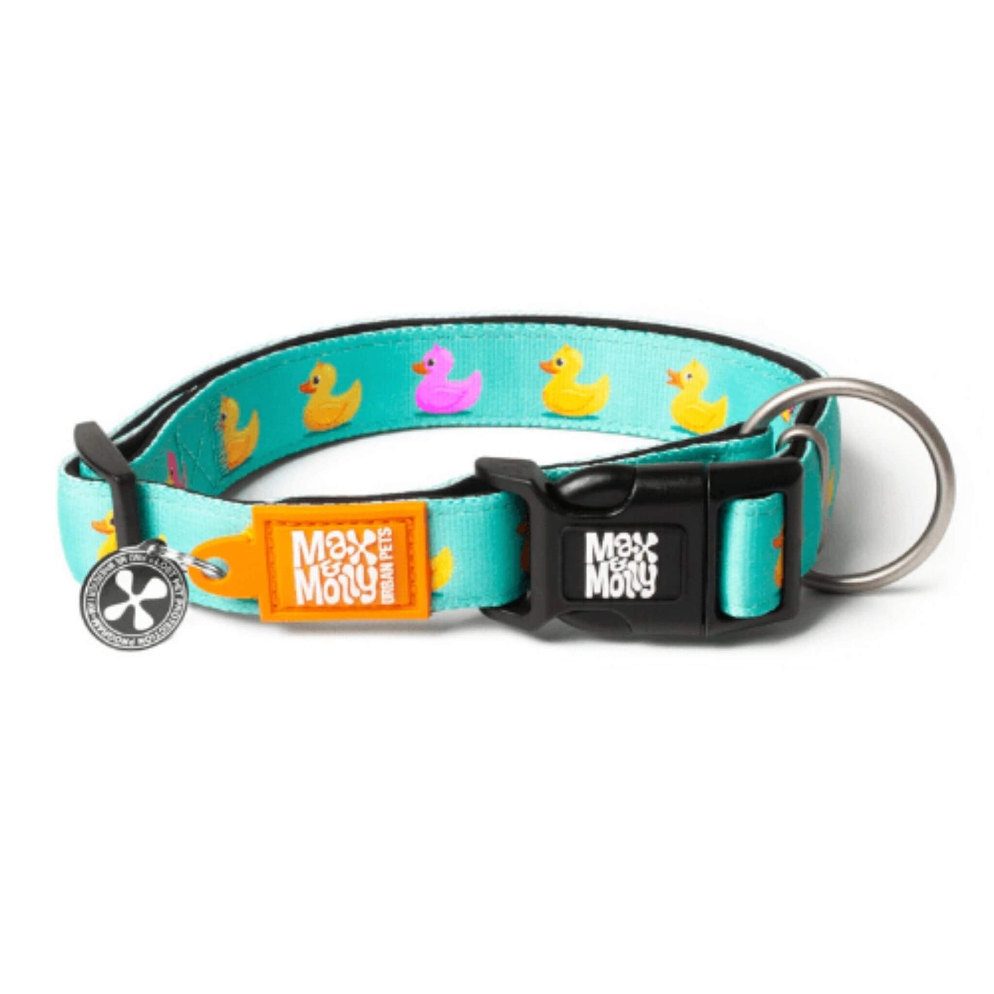 Max & Molly Collars and Leashes