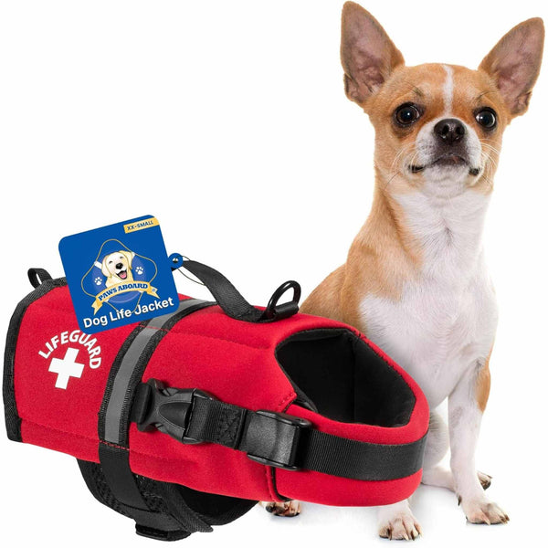 Chihuahua life jacket top