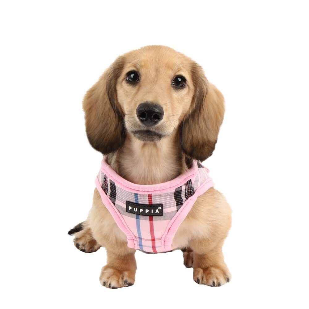 Puppia Harnesses