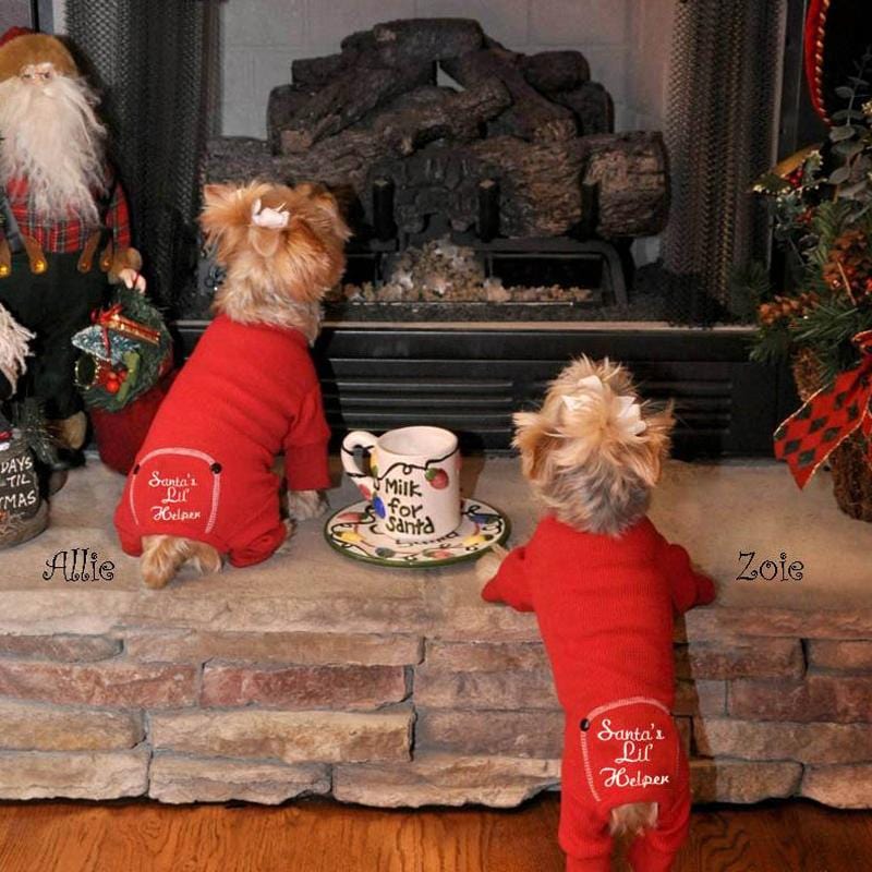 Christmas Outfits for Small Dogs – Festive Holiday Styles