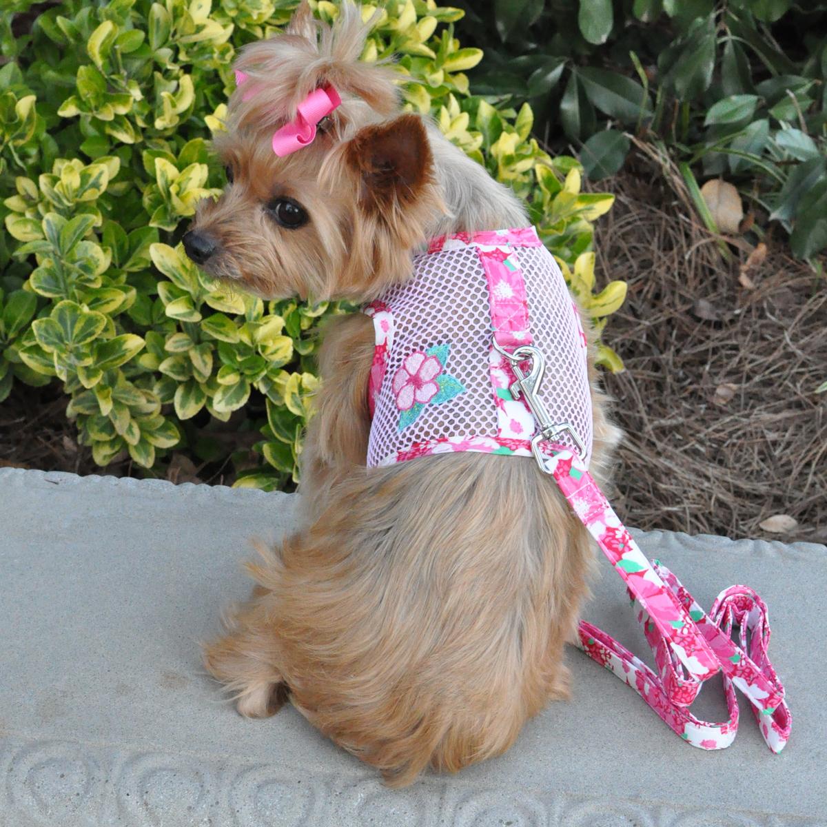 Small Dog Harnesses (XXS - XL)