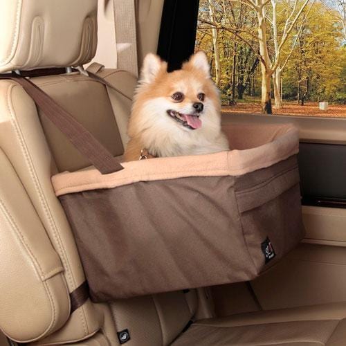 Travel Accessories