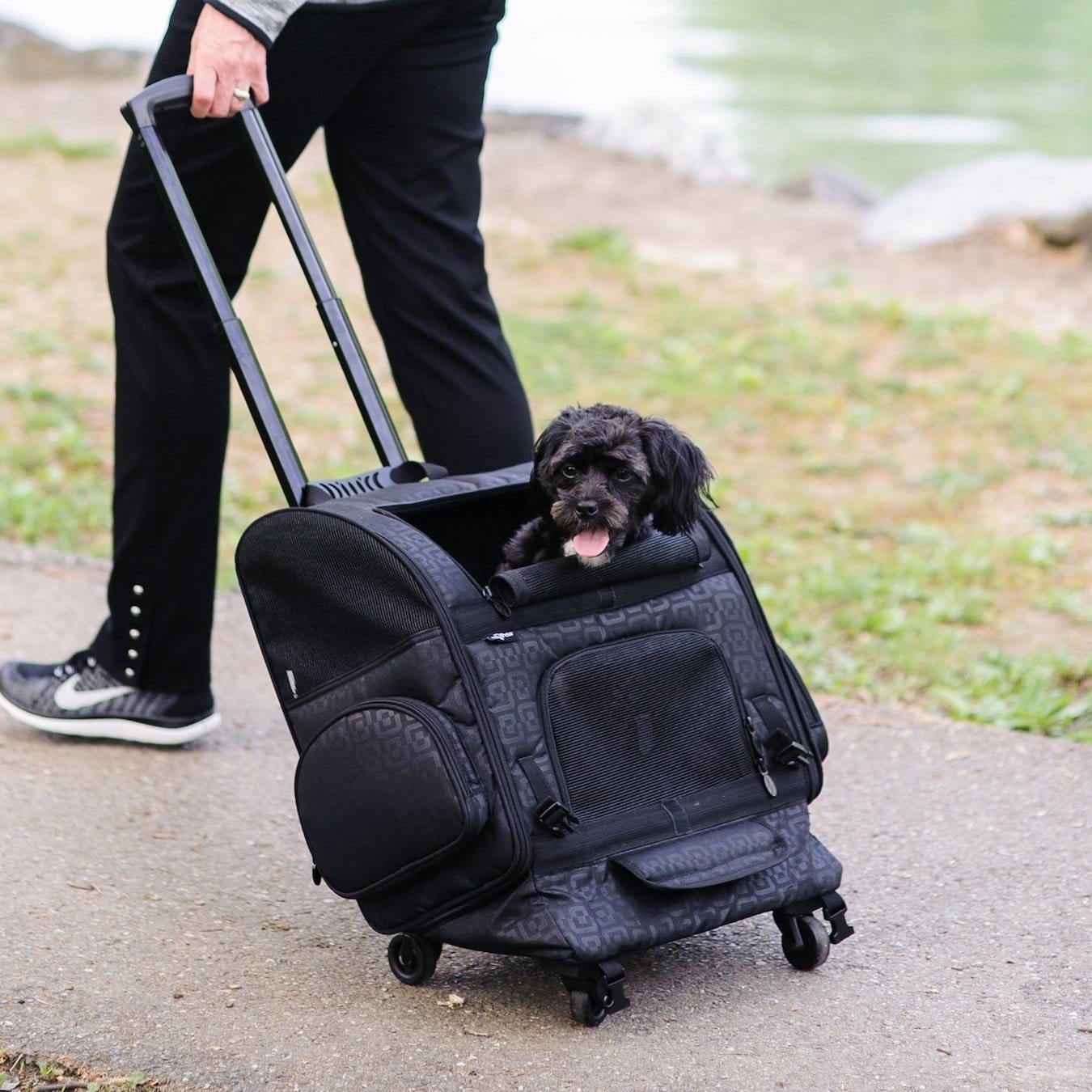 Small Dog Carriers & Dog Purses
