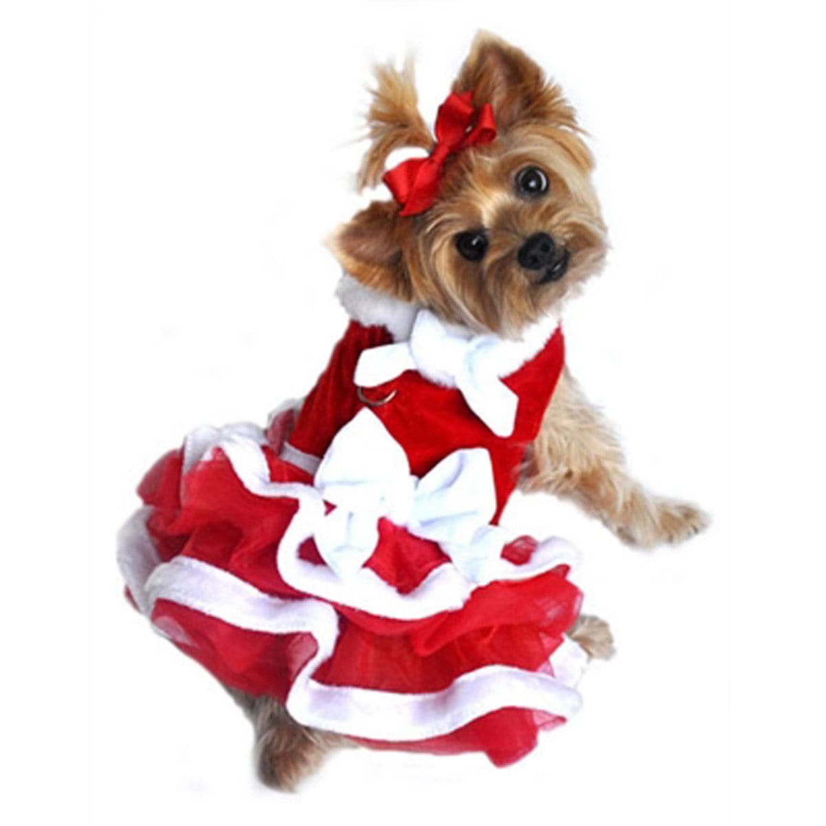Small Dog Christmas Clothes and Accessories.
