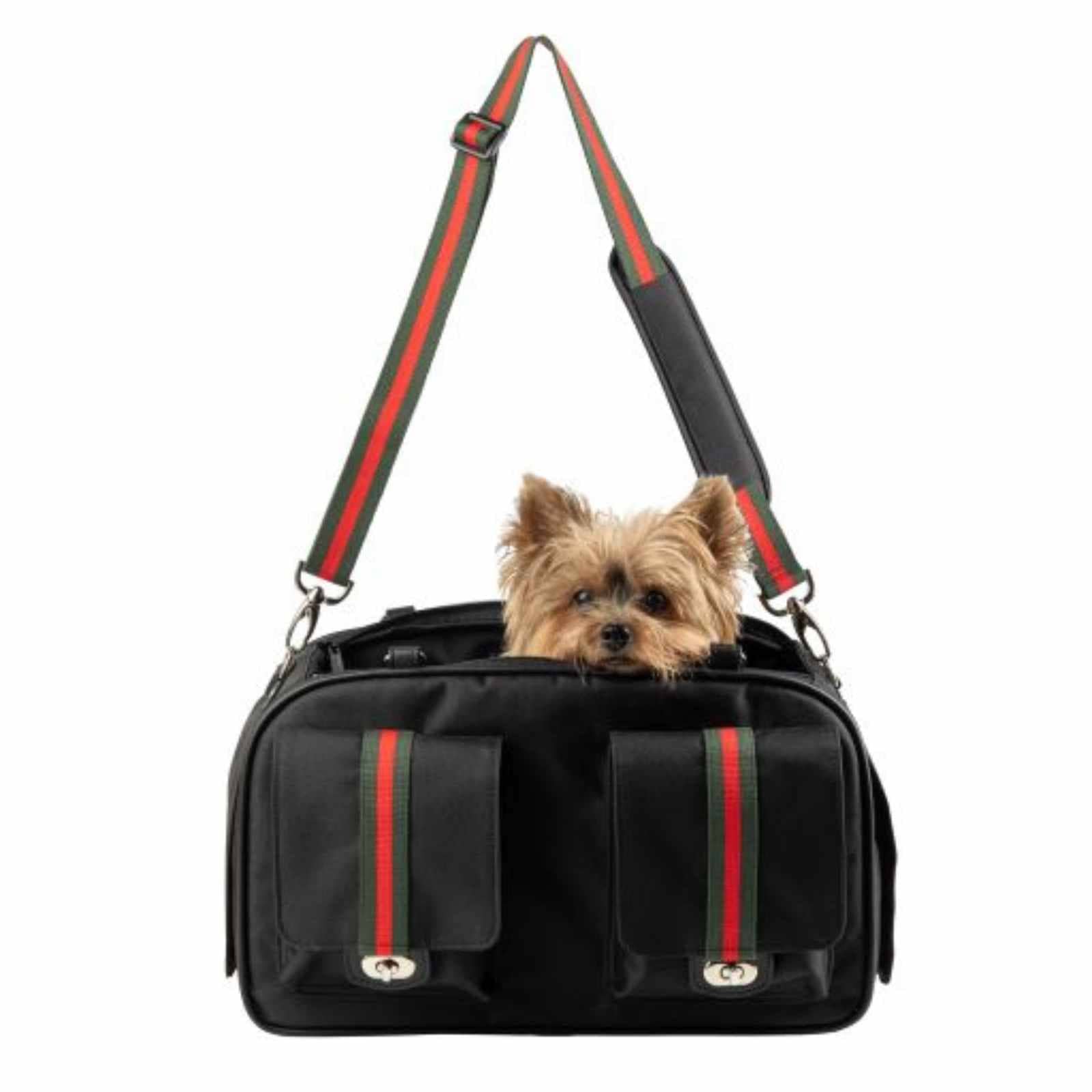Small Yorkshire Terrier sitting comfortably inside the Petote Marlee 2 carrier with the adjustable padded shoulder strap attached.