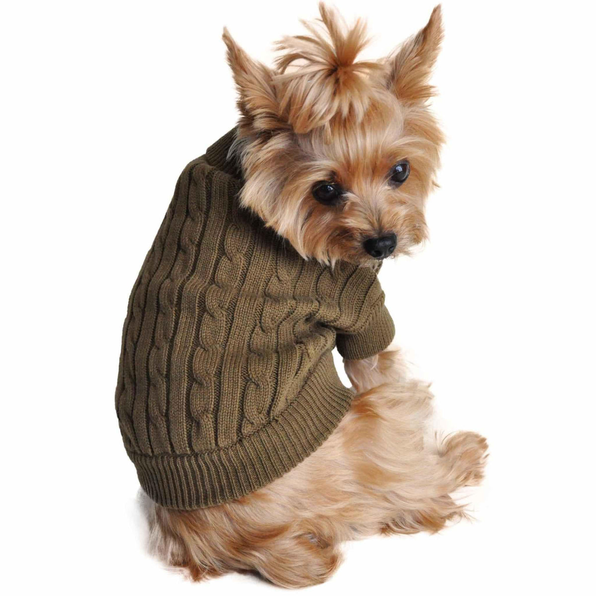 Cable_Knit_Dog_Sweater_for-small-dogs-_Herb_Green_on_a_Yorkie_1