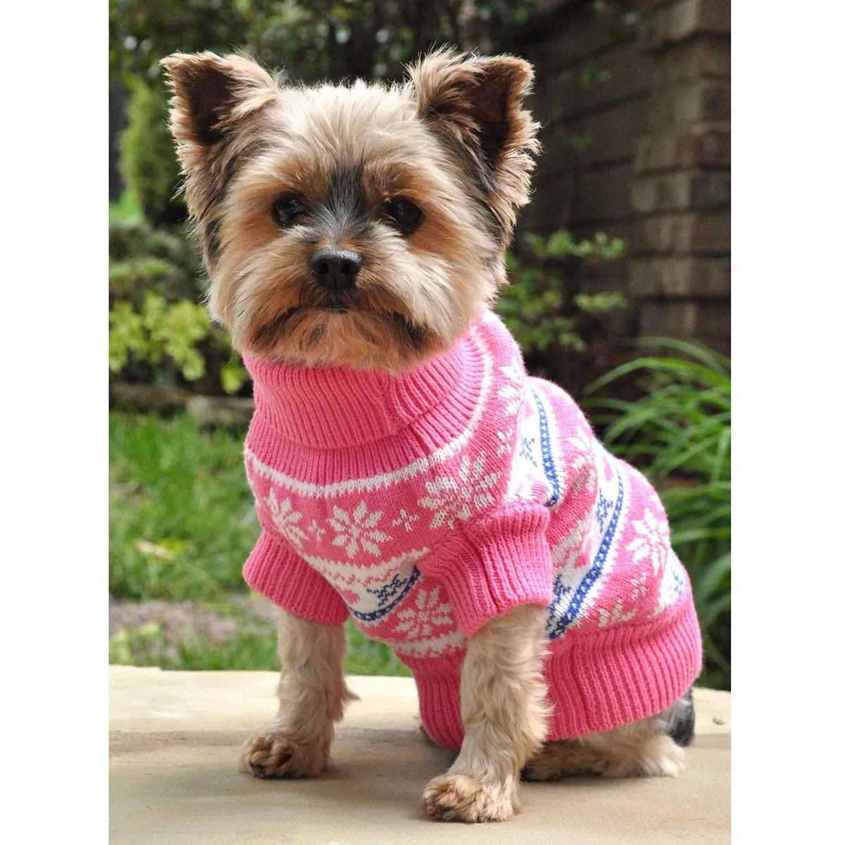Small dog wearing a pink sweater with white snowflake patterns outdoors.
