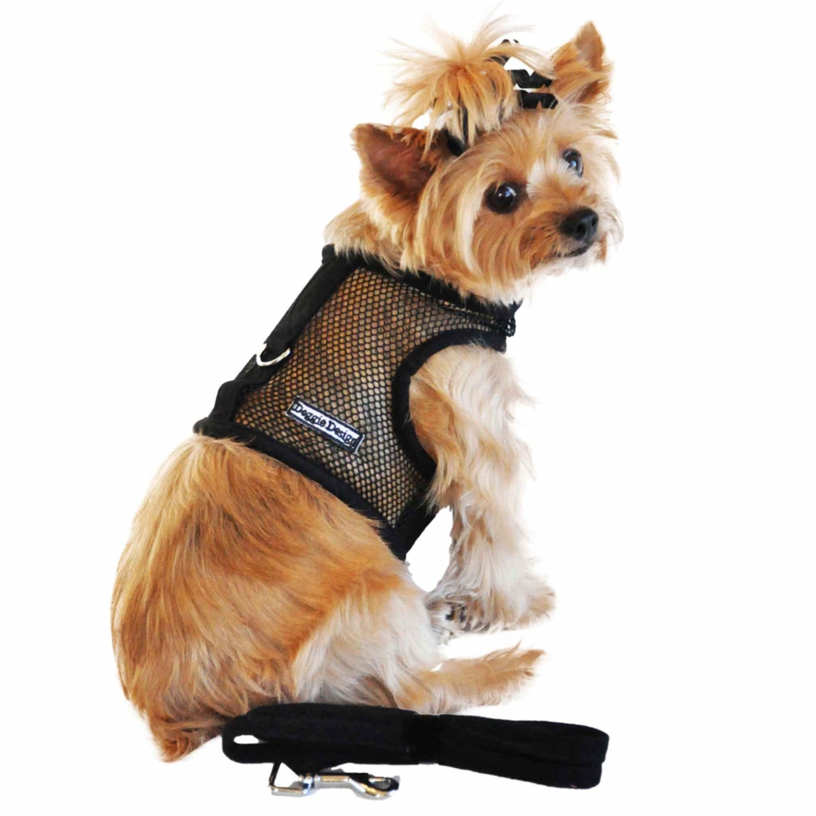 Cool mesh dog harness for small dogs - black modeled on a Yorkie