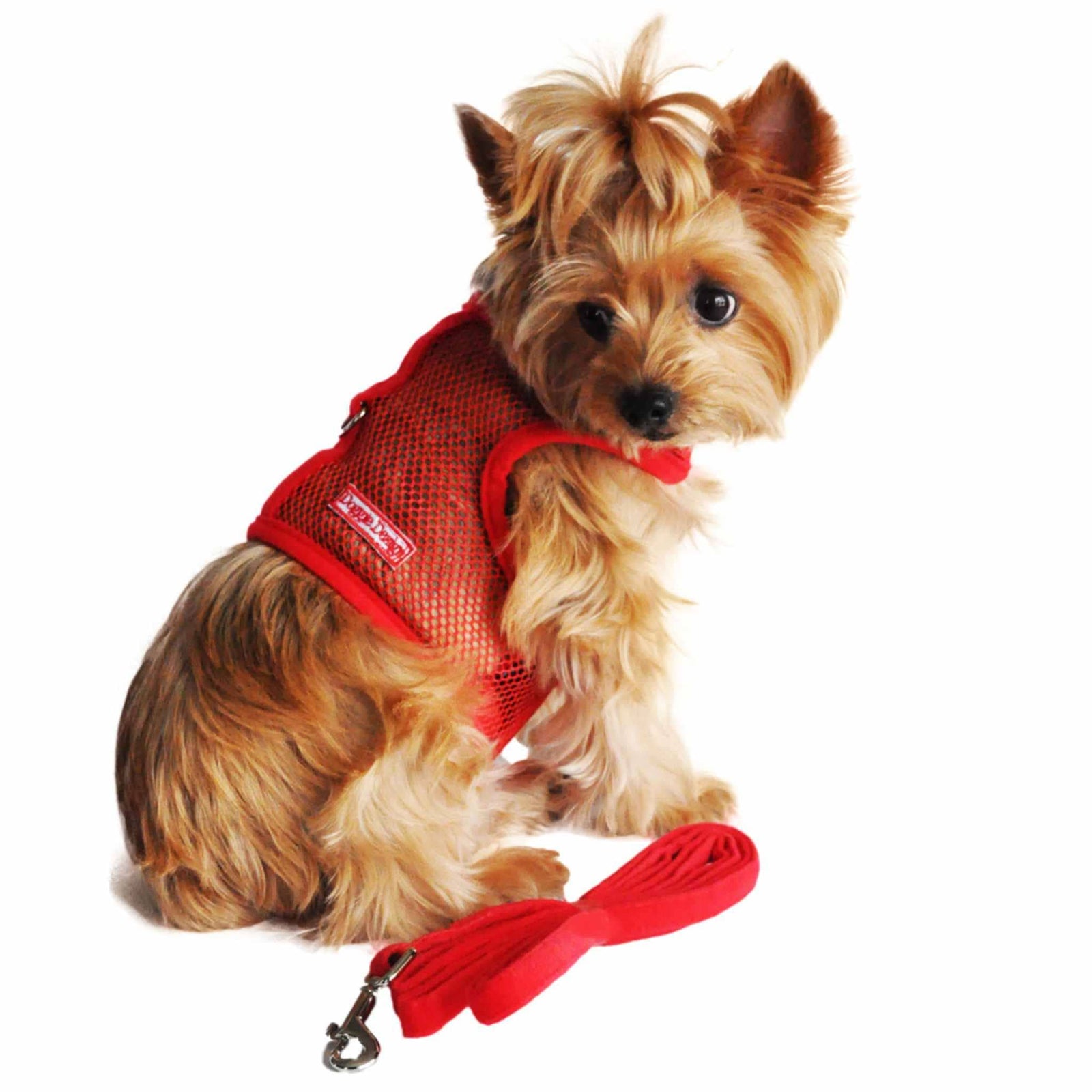 Cool mesh dog harness for small dogs - red modeled on a Yorkie