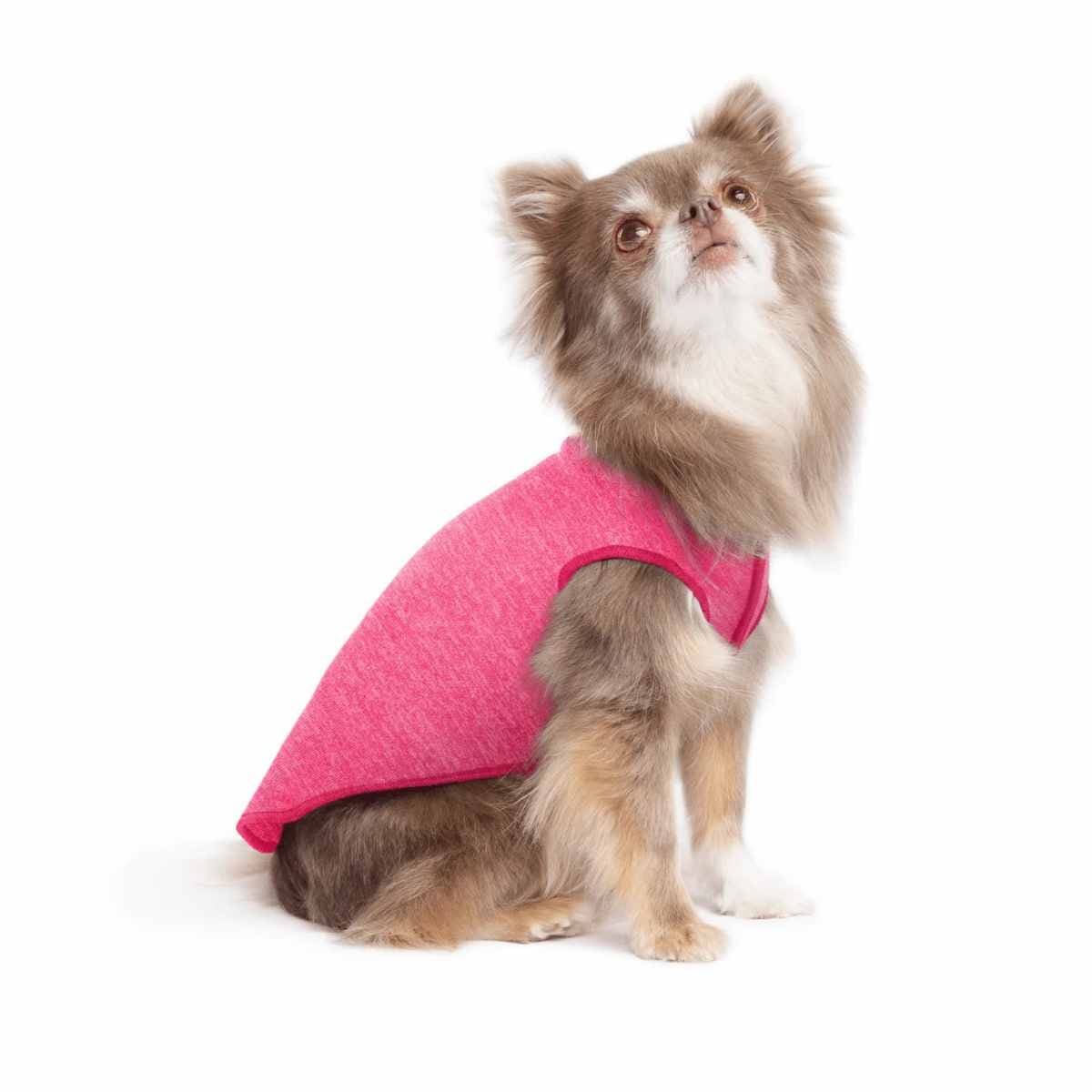 UV Protective Sun Shirt for Dogs - Gold Paw Series Sun Shield Tee - SPF 50 Protection for Dogs