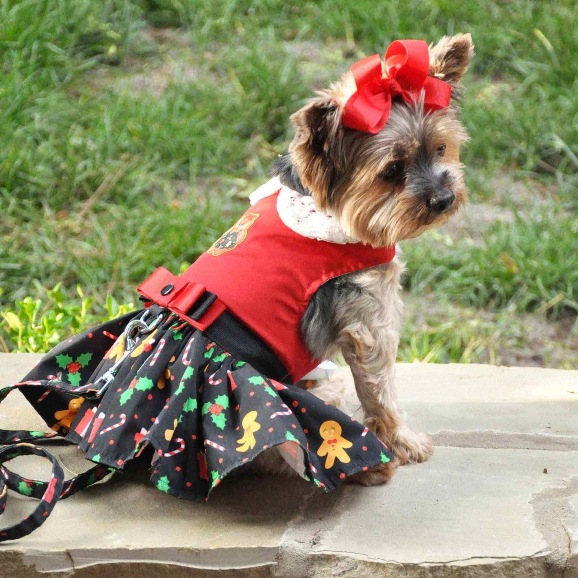 Gingerbread holiday dog dress on a yorkie