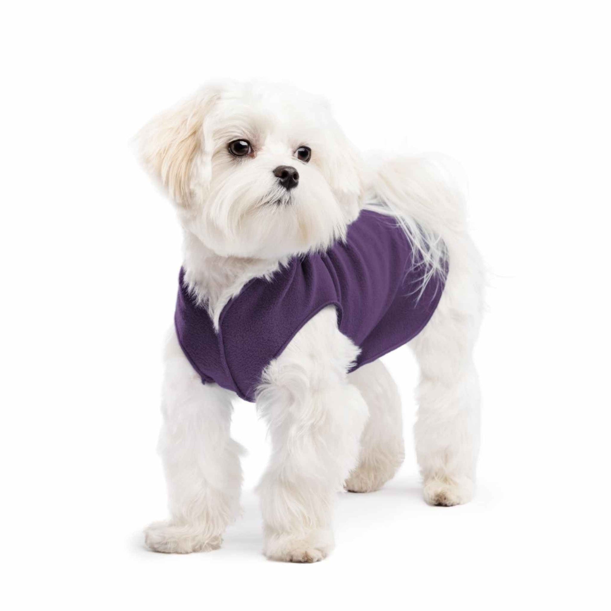 Gold Paw Series Stretch Fleece Small Dog Shirts