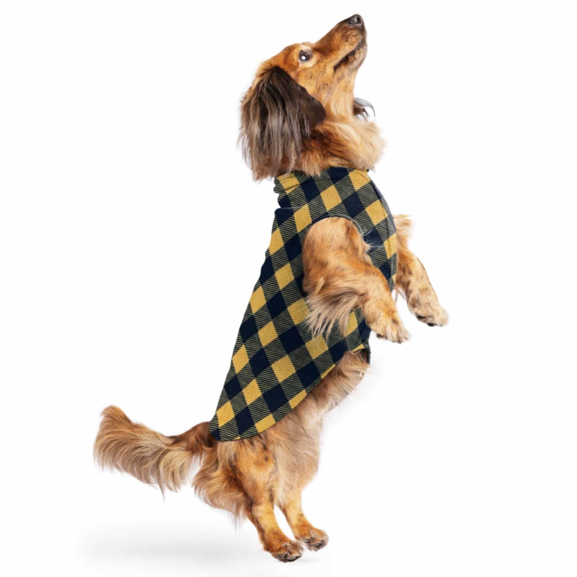 Gold Paw Series Stretch Fleece Plaid Small Dog Shirts