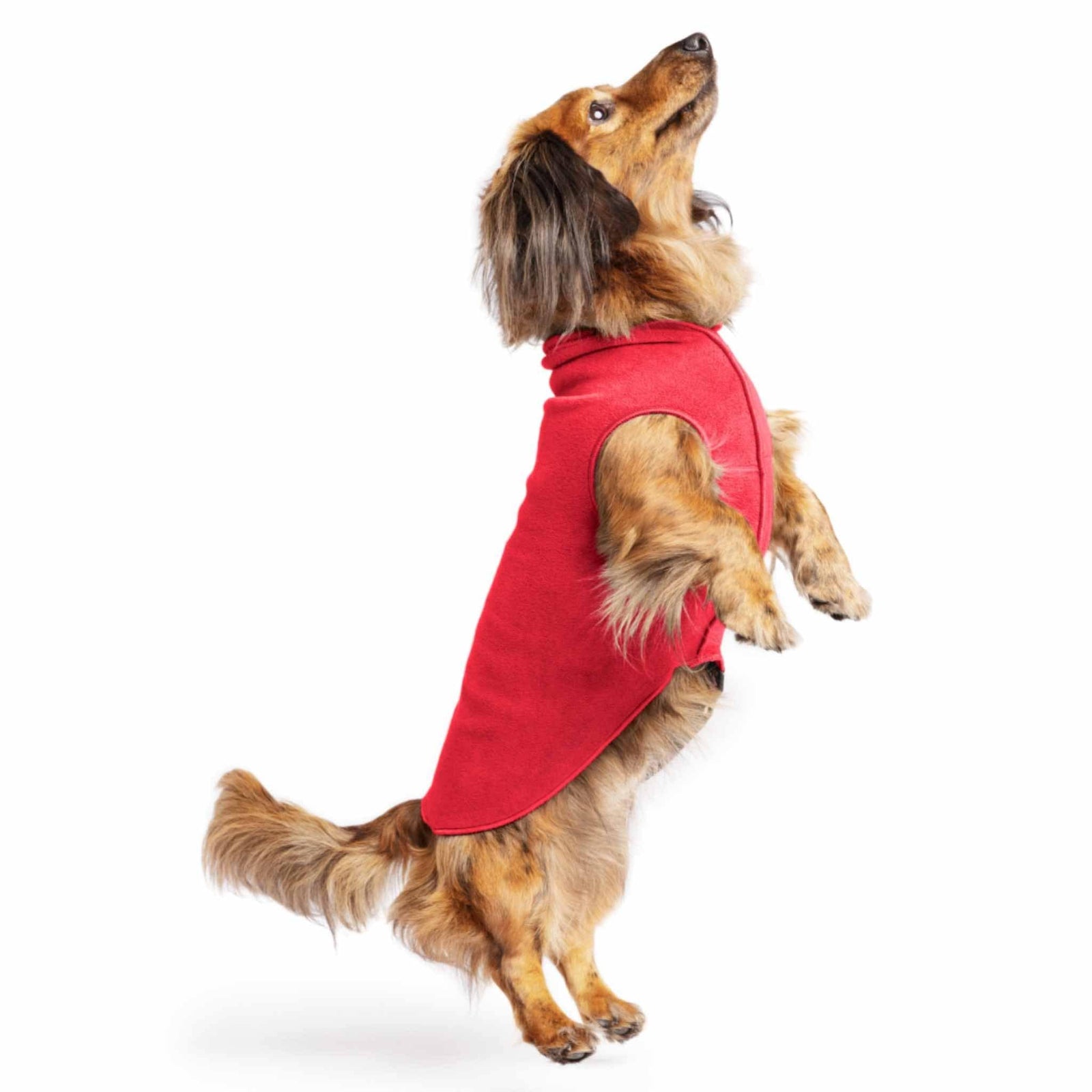 Gold Paw Series Stretch Fleece for Dogs - Red
