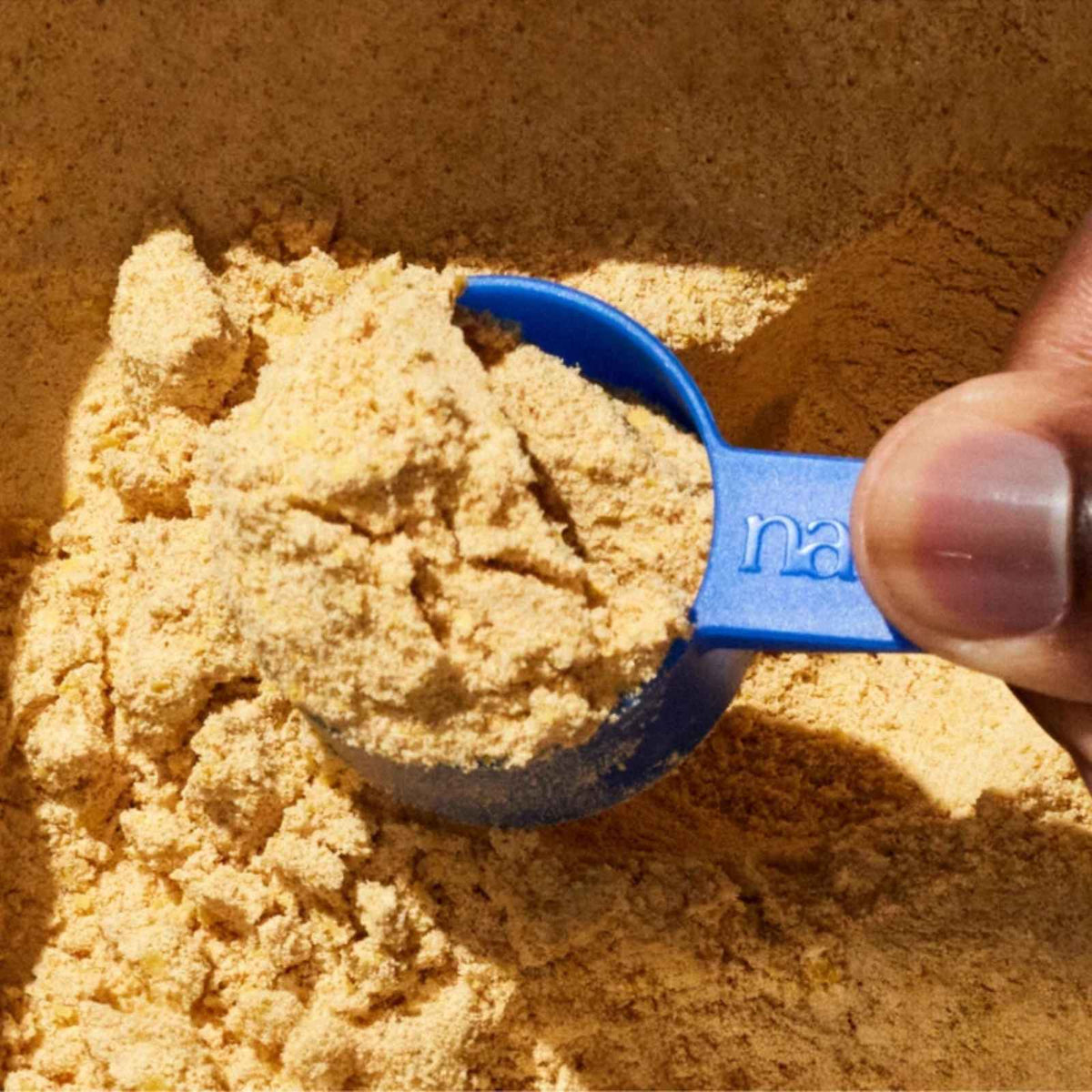 Blue scoop showing the powder supplement The Daily by Native Pet.