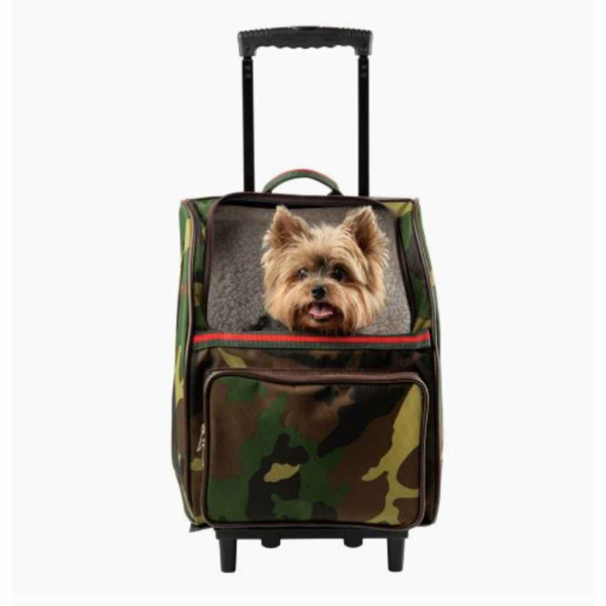 The Petote Rio 3-in-1 Rolling Carrier