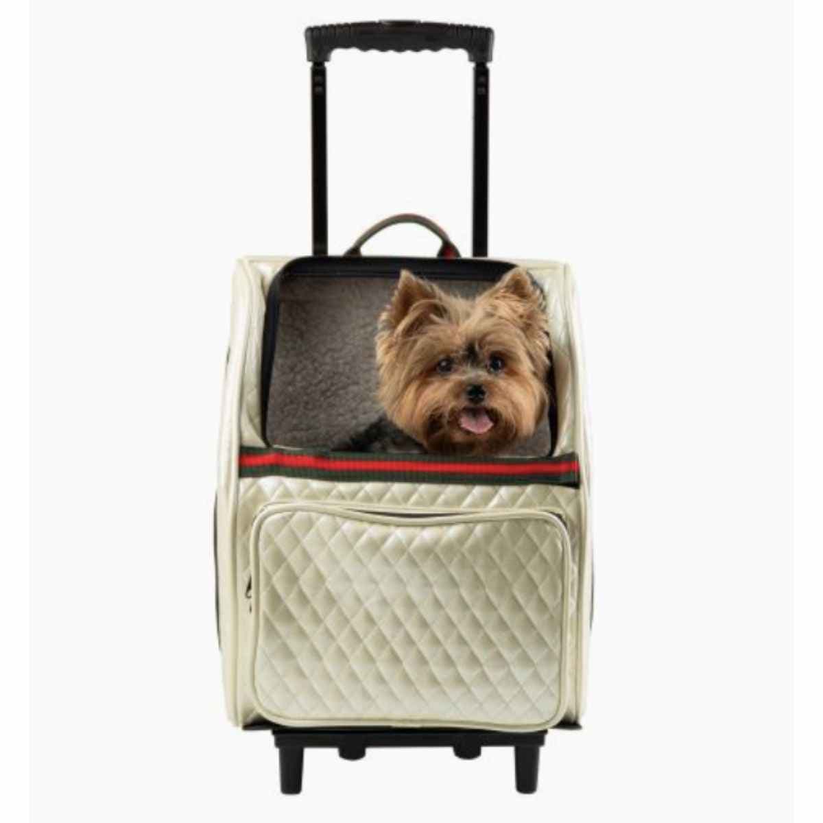 The Petote Rio 3-in-1 Rolling Carrier