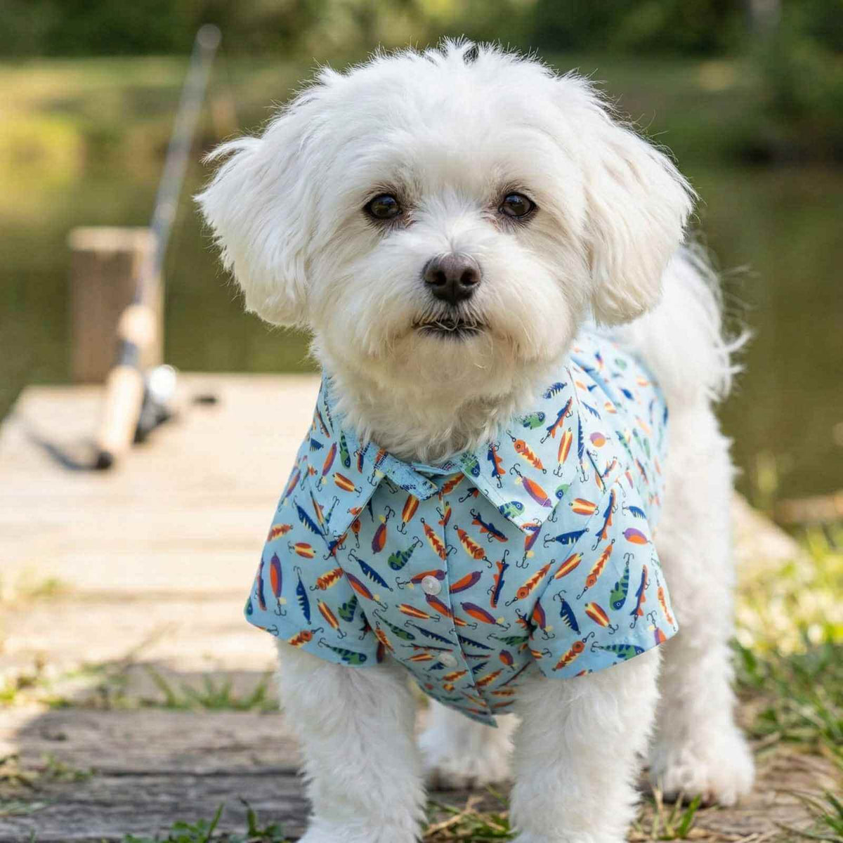 Small white dog on a dock wearing a Worthy Dog Gone Fishin small dog shirt.
