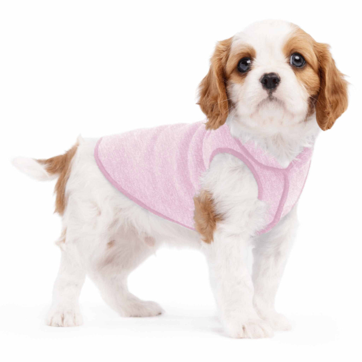 UV Protective Sun Shirt for Dogs - Gold Paw Series Sun Shield Tee - Pink Lemonade