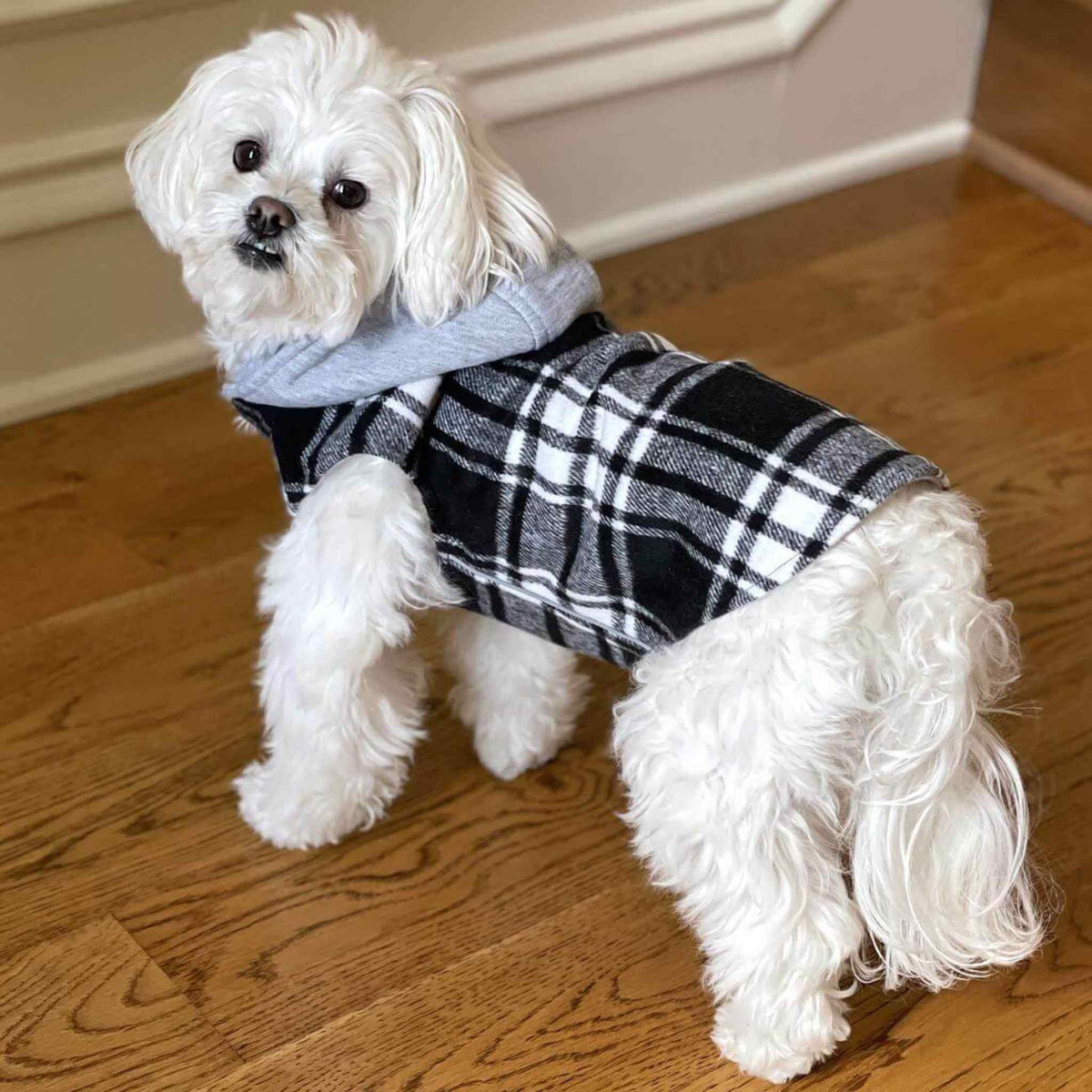 Weekender Dog Sweatshirt Hoodie - Black &amp; White Plaid