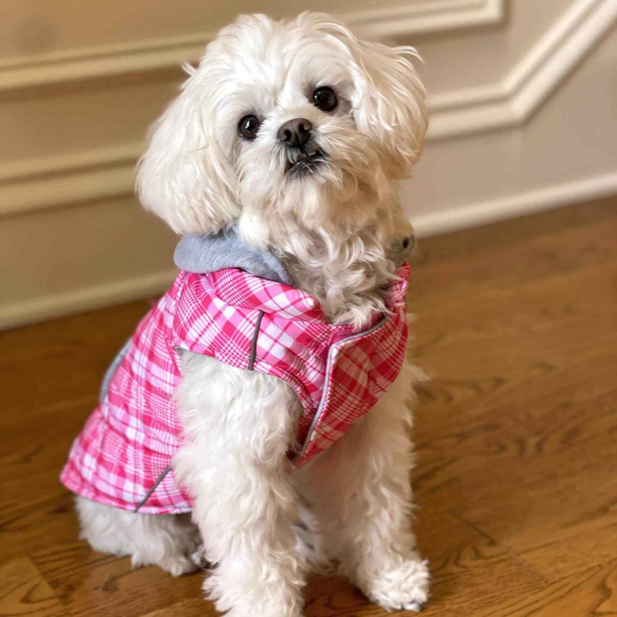 Weekender Dog Sweatshirt Hoodie - Pink & White Plaid on white dog